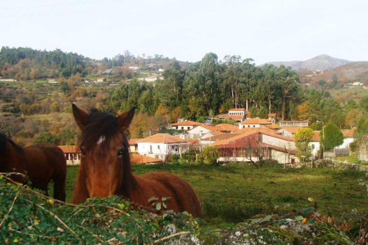 Casa De Sa - A Natureza No Geres Terras de Bouro Exterior photo
